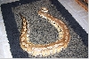 isis2